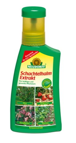 NEUDORFF Schachtelhalm Extrakt, 250 Ml