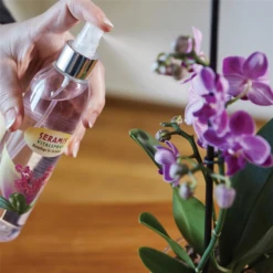 SERAMIS Vitalspray Blattpflege Für Ochideen, 250 Ml -Vier Jahreszeiten 4260376731083.pt02 800x800