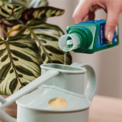 WESTLAND Zimmerpflanzendünger, 500 Ml -Vier Jahreszeiten 4260376733827.pt02 800x800