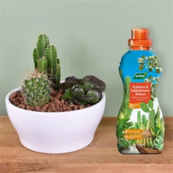 WESTLAND Kakteen-& Sukkulentenwasser, 720 Ml -Vier Jahreszeiten 4260376734411.pt02 800x800