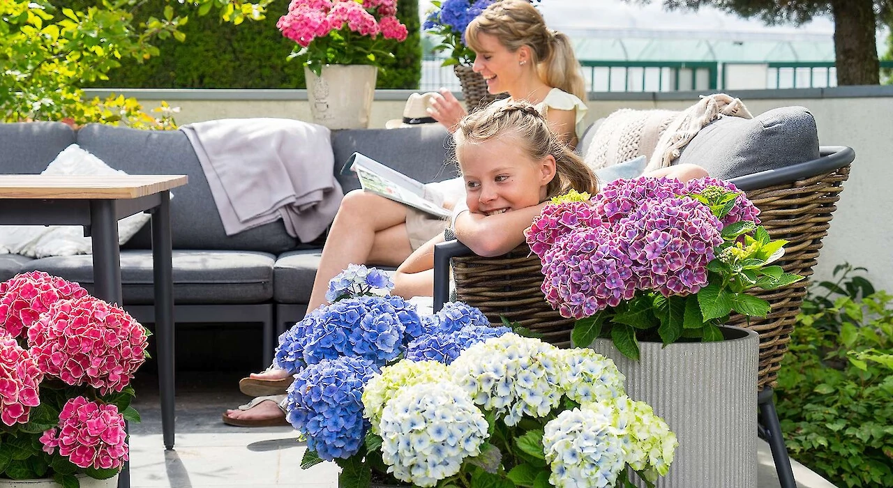 Vier Jahreszeiten -Vier Jahreszeiten switch mac ambiente terrasse dsc00469 1. aktuelles groess