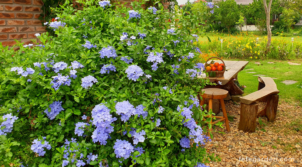 Vier Jahreszeiten -Vier Jahreszeiten